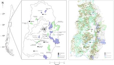 Building alliances and consensus around social-ecological rewilding in Chile